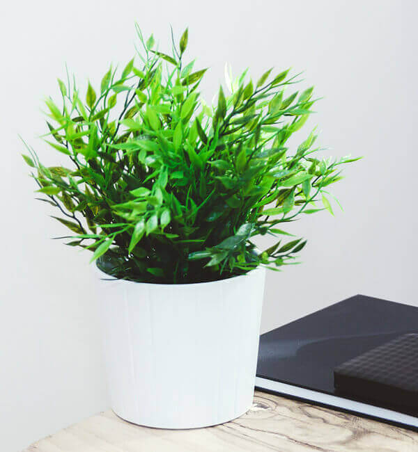 OpenStreetMap open source mapping contributions